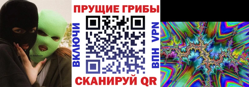 как найти закладки  Нолинск  Псилоцибиновые грибы GOLDEN TEACHER 